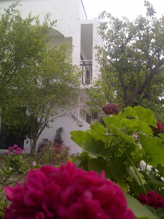 Thalassa Studios Фалираки Екстериор снимка
